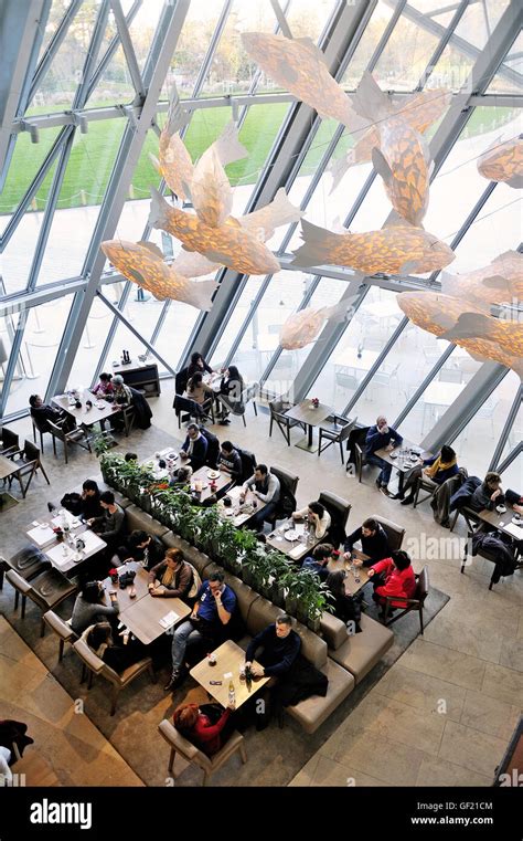 cafeteria fondation louis vuitton|Guided tours .